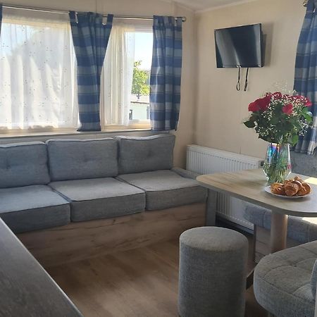 Hendra Park Hotell New Quay Exteriör bild